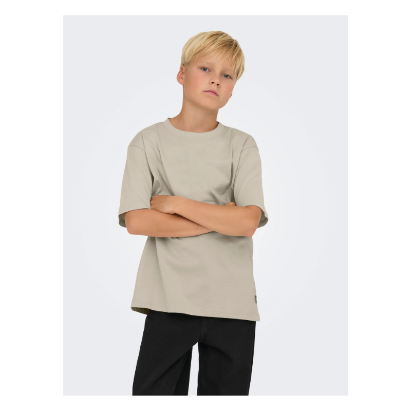 ONLY & SONS JUNIOR Fred Life T-shirt - Silver Linning