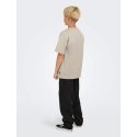 ONLY & SONS JUNIOR Fred Life T-shirt - Silver Linning