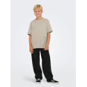 ONLY & SONS JUNIOR Fred Life T-shirt - Silver Linning