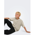 ONLY & SONS JUNIOR Fred Life T-shirt - Silver Linning