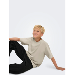 ONLY & SONS JUNIOR Fred Life T-shirt - Silver Linning