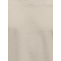 ONLY & SONS JUNIOR Fred Life T-shirt - Silver Linning