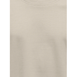 ONLY & SONS JUNIOR Fred Life T-shirt - Silver Linning