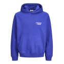 JACK & JONES Norrebro Typo Hoodie - Blueing