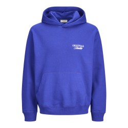 JACK & JONES Norrebro Typo Hoodie - Blueing