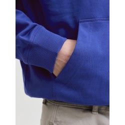 JACK & JONES Norrebro Typo Hoodie - Blueing