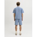 JJ REBEL Haven resort kortærmet t-shirt - Faded Denim