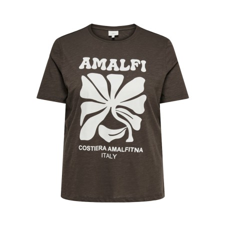 ONLY CARMAKOMA Esma kortærmet jeans fit t-shirt - Chocolate Martini