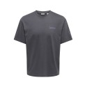 ONLY & SONS Fred kortærmet Print T-shirt -  Grey Pinstripe
