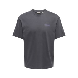 ONLY & SONS Fred kortærmet Print T-shirt -  Grey Pinstripe