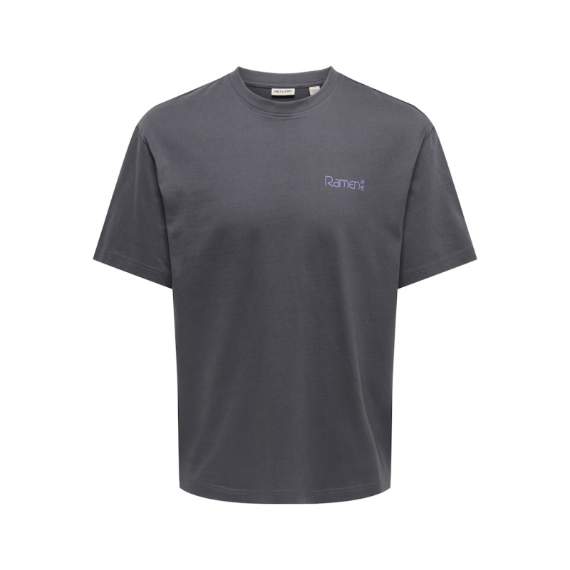 ONLY & SONS Fred kortærmet Print T-shirt -  Grey Pinstripe