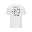 ONLY & SONS Fred kortærmet Print T-shirt - Bright White