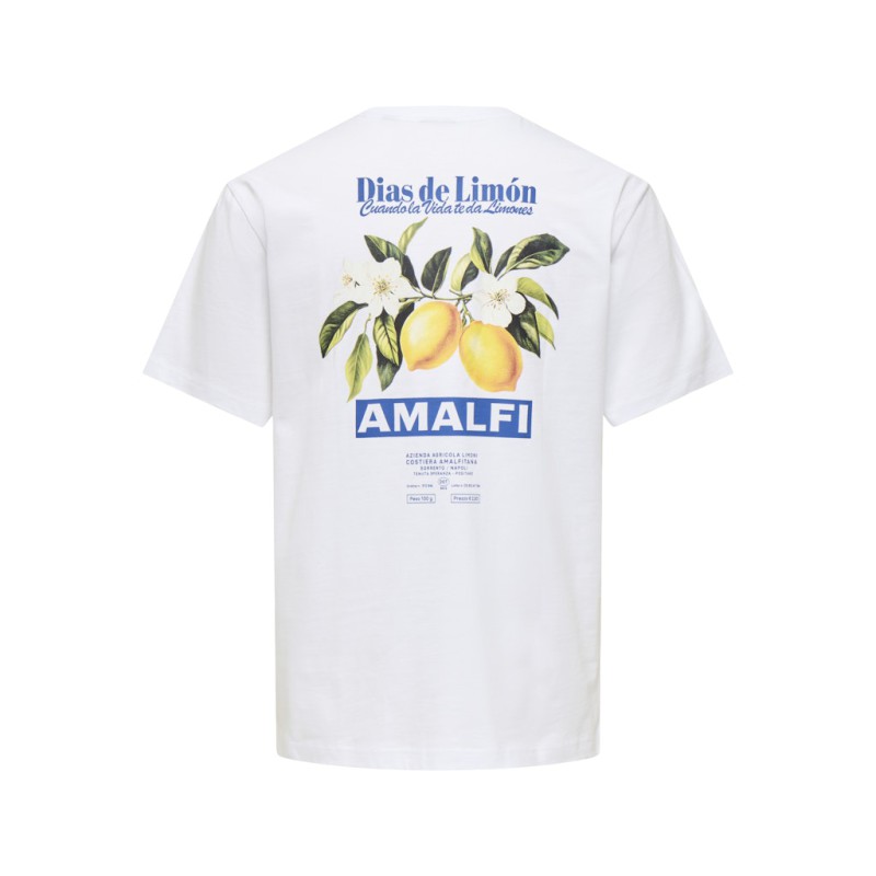 ONLY & SONS Fred kortærmet Print T-shirt - Bright White
