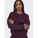 ONLY Best langærmet sweatshirt - Fig