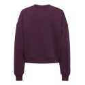 ONLY Best langærmet sweatshirt - Fig
