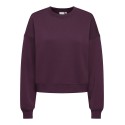 ONLY Best langærmet sweatshirt - Fig