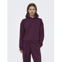 ONLY Best langærmet hoodie - Fig