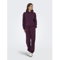 ONLY Best langærmet hoodie - Fig