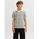 JACK & JONES JUNIOR Raiden kortærmet polo - Sea Salt