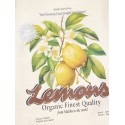 JJXX Hilda Print Tanktop - Vanilla Ice / Lemon
