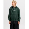 JACK & JONES Junior Soho Hoodie - Scarab
