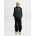 JACK & JONES Junior Soho Hoodie - Scarab