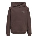 JACK & JONES JUNIOR Norrebro Typo Hoodie - Java