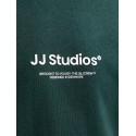 JACK & JONES Junior Soho S/S T-shirt - Scarab