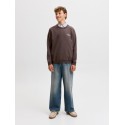 JACK & JONES Junior Norrebro Typo Sweatshirt - Java