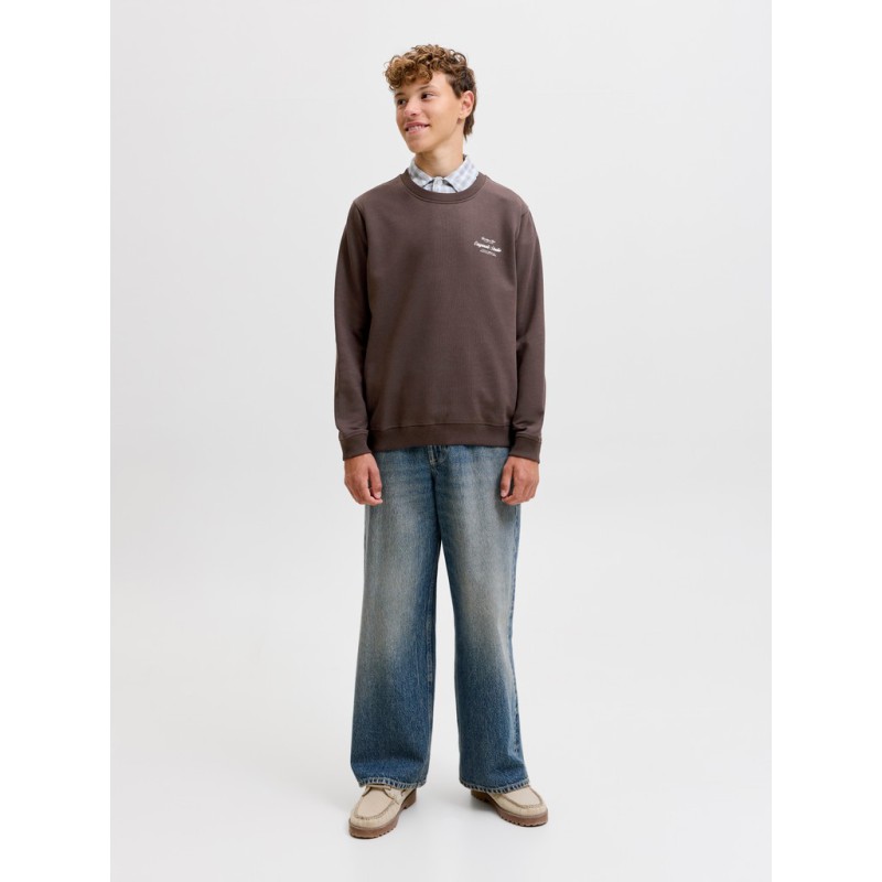 JACK & JONES Junior Norrebro Typo Sweatshirt - Java