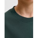 JACK & JONES Junior Barron T-shirt - Scarab