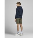 JACK & JONES Junior NBA Legends sweat hoodie - Sort / Navy Blazer
