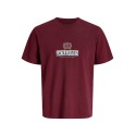 JACK & JONES PLUS Frederiksberg grafisk box kortærmet t-shirt - Chocolate Truffle