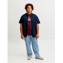 JACK & JONES PLUS Frederiksberg grafisk box kortærmet t-shirt - Chocolate Truffle