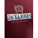 JACK & JONES PLUS Frederiksberg grafisk box kortærmet t-shirt - Chocolate Truffle