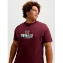 JACK & JONES PLUS Frederiksberg grafisk box kortærmet t-shirt - Chocolate Truffle