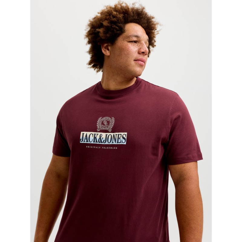 JACK & JONES PLUS Frederiksberg grafisk box kortærmet t-shirt - Chocolate Truffle