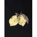 NAME IT Kids Lion kortærmet t-shirt - Black Beauty