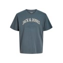 JACK & JONES PLUS Denver Logo T-shirt - Turbulence