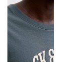 JACK & JONES PLUS Denver Logo T-shirt - Turbulence