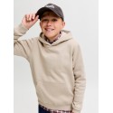 JACK & JONES JUNIOR Frederiksberg monogram sweat hoodie - Feather Gray