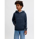 JACK & JONES JUNIOR Frederiksberg monogram sweat hoodie - Sky Captain