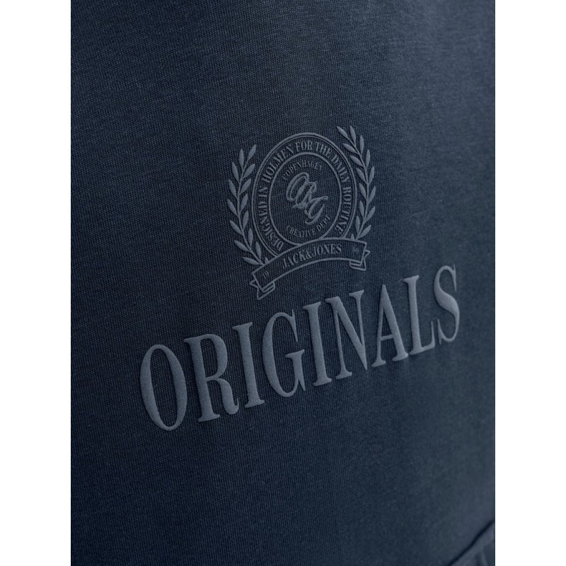 JACK & JONES JUNIOR Frederiksberg monogram sweat hoodie - Sky Captain