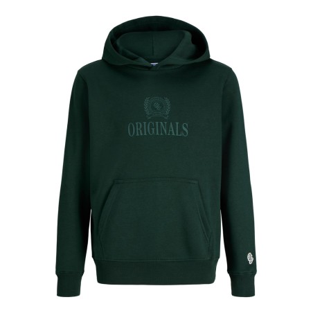 JACK & JONES Junior Frederiksberg monogram sweat hoodie - Pine Grove