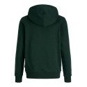 JACK & JONES Junior Frederiksberg monogram sweat hoodie - Pine Grove