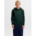 JACK & JONES Junior Frederiksberg monogram sweat hoodie - Pine Grove