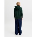 JACK & JONES Junior Frederiksberg monogram sweat hoodie - Pine Grove