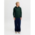 JACK & JONES Junior Frederiksberg monogram sweat hoodie - Pine Grove