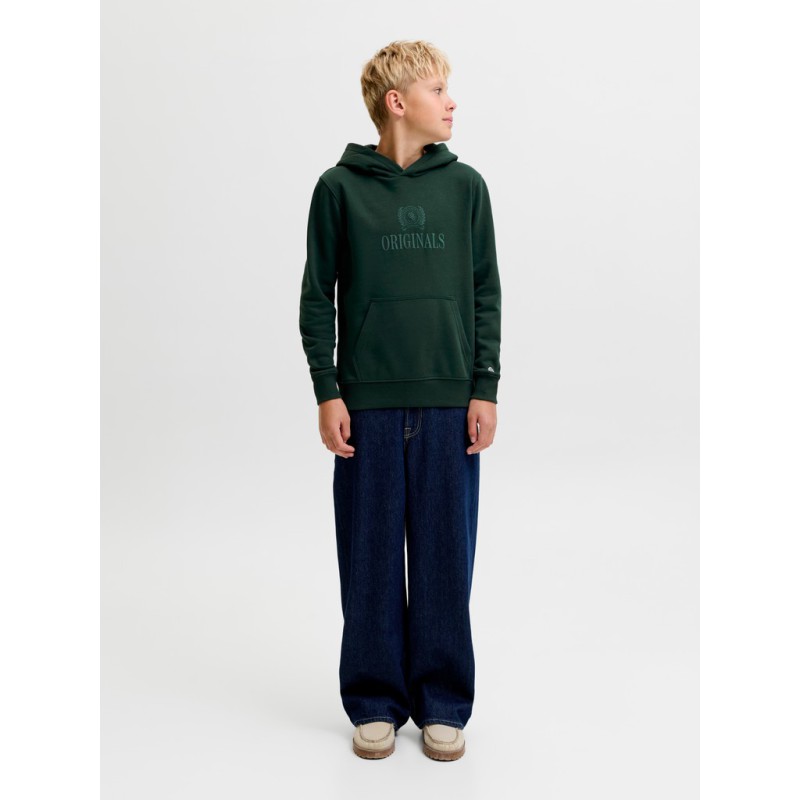 JACK & JONES Junior Frederiksberg monogram sweat hoodie - Pine Grove