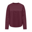 ONLY Happy langærmet T-shirt - Fig